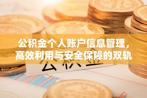 二水公积金个人账户信息管理，高效利用与安全保障的双轨并行