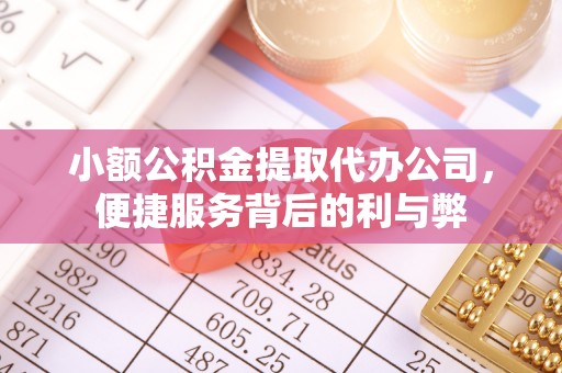 二水小额公积金提取代办公司，便捷服务背后的利与弊