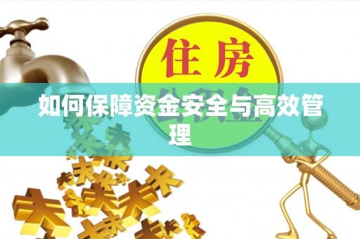 二水如何保障资金安全与高效管理