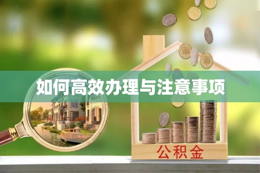 二水如何高效办理与注意事项