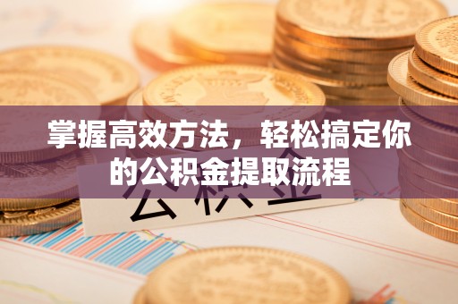 二水掌握高效方法，轻松搞定你的公积金提取流程