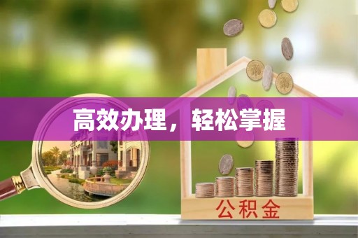 二水高效办理，轻松掌握