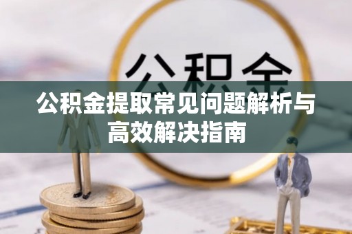 二水公积金提取常见问题解析与高效解决指南