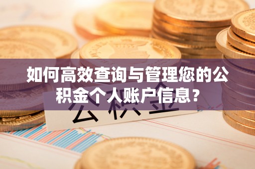 二水如何高效查询与管理您的公积金个人账户信息？