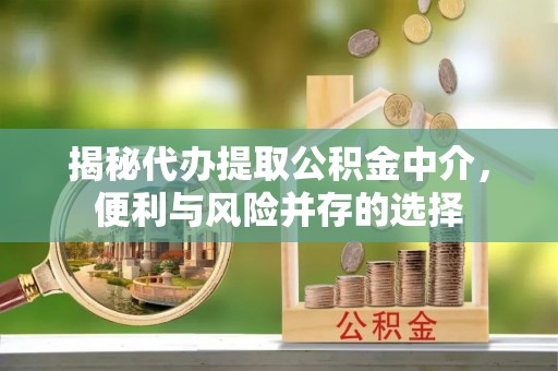 二水揭秘代办提取公积金中介，便利与风险并存的选择