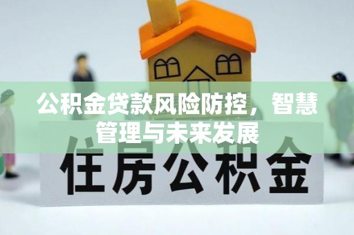 二水公积金贷款风险防控，智慧管理与未来发展