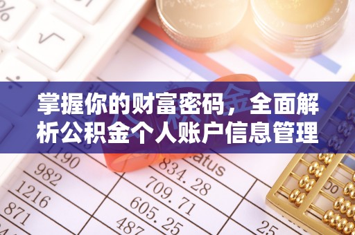 二水掌握你的财富密码，全面解析公积金个人账户信息管理与优化