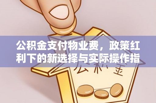 二水公积金支付物业费，政策红利下的新选择与实际操作指南