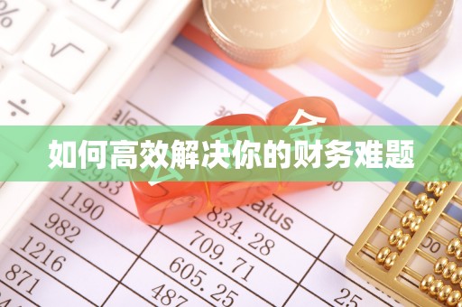 二水如何高效解决你的财务难题