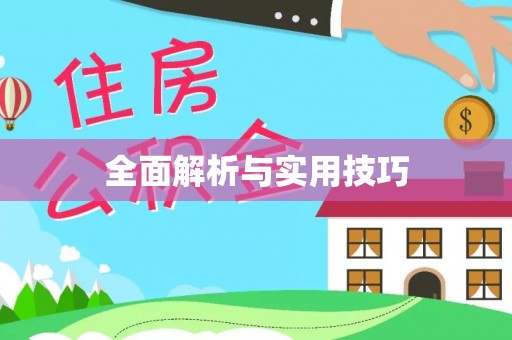 二水全面解析与实用技巧