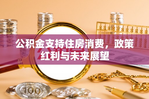 二水公积金支持住房消费，政策红利与未来展望