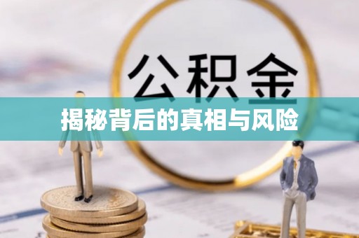 二水揭秘背后的真相与风险