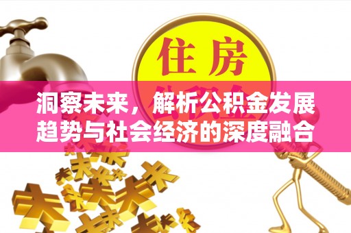二水洞察未来，解析公积金发展趋势与社会经济的深度融合