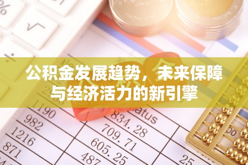 二水公积金发展趋势，未来保障与经济活力的新引擎