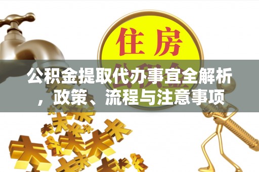 二水公积金提取代办事宜全解析，政策、流程与注意事项