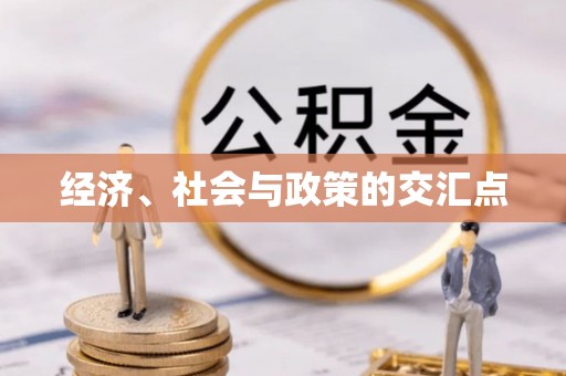 二水经济、社会与政策的交汇点
