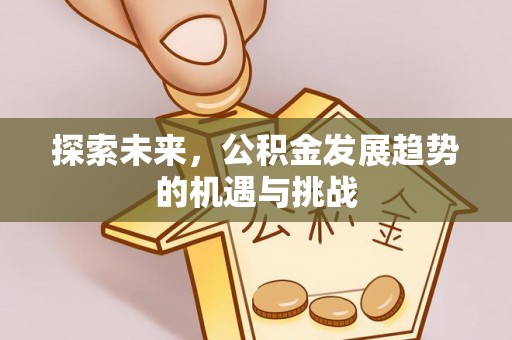 二水探索未来，公积金发展趋势的机遇与挑战