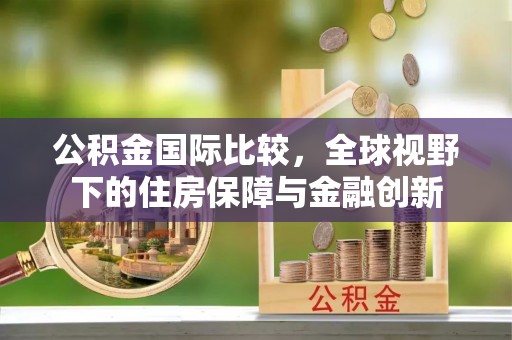二水公积金国际比较，全球视野下的住房保障与金融创新