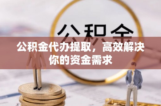 二水公积金代办提取，高效解决你的资金需求