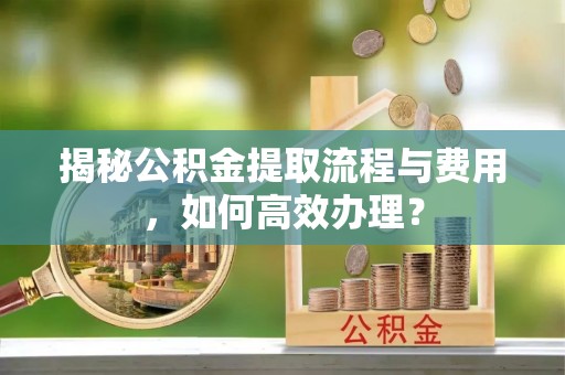 二水揭秘公积金提取流程与费用，如何高效办理？