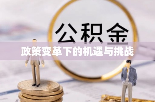 二水政策变革下的机遇与挑战