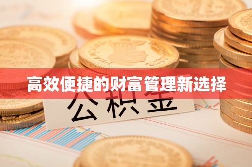 二水高效便捷的财富管理新选择