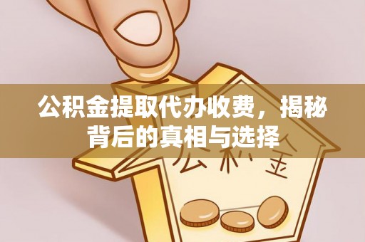 二水公积金提取代办收费，揭秘背后的真相与选择