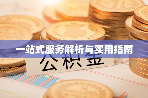 二水一站式服务解析与实用指南