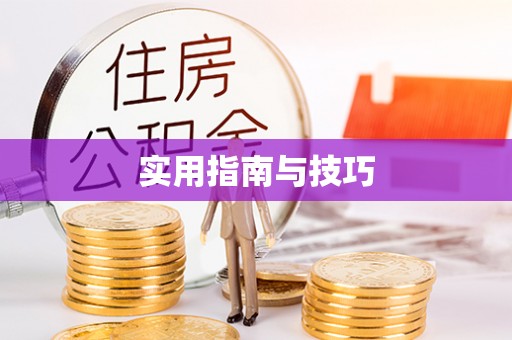 二水实用指南与技巧