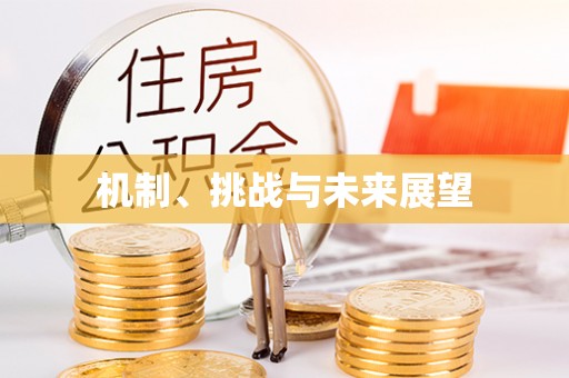 二水机制、挑战与未来展望