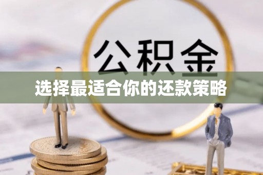二水选择最适合你的还款策略