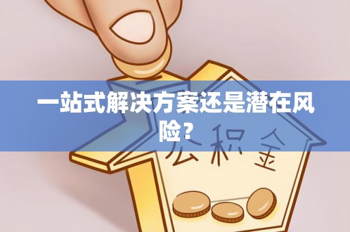 二水一站式解决方案还是潜在风险？